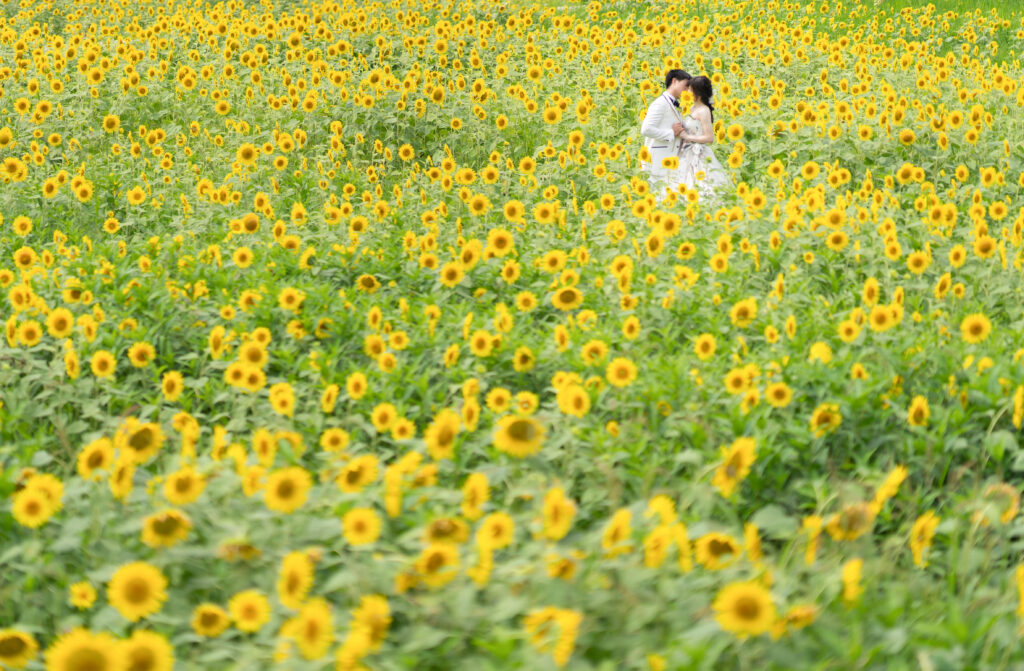 ㊗️東京五輪2020＋１　SUMMER Photo キャンペーン