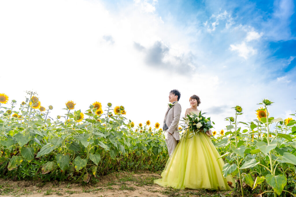 〜夏のフォトウェディングご予約受付中🌻〜