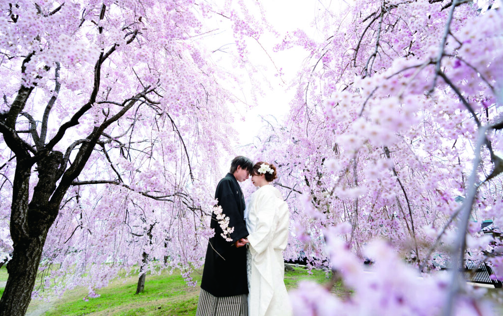 春のフォトウェディング